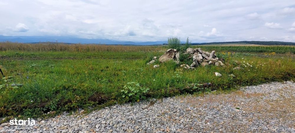 Teren Intravilan 500mp,spre vanzare in Sura Mica