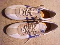 Pantofi Tiger Onitsuka – Stil Retro și Confort Modern