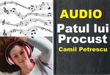 Patul lui Procust de Camil Petrescu Audio (MP3)