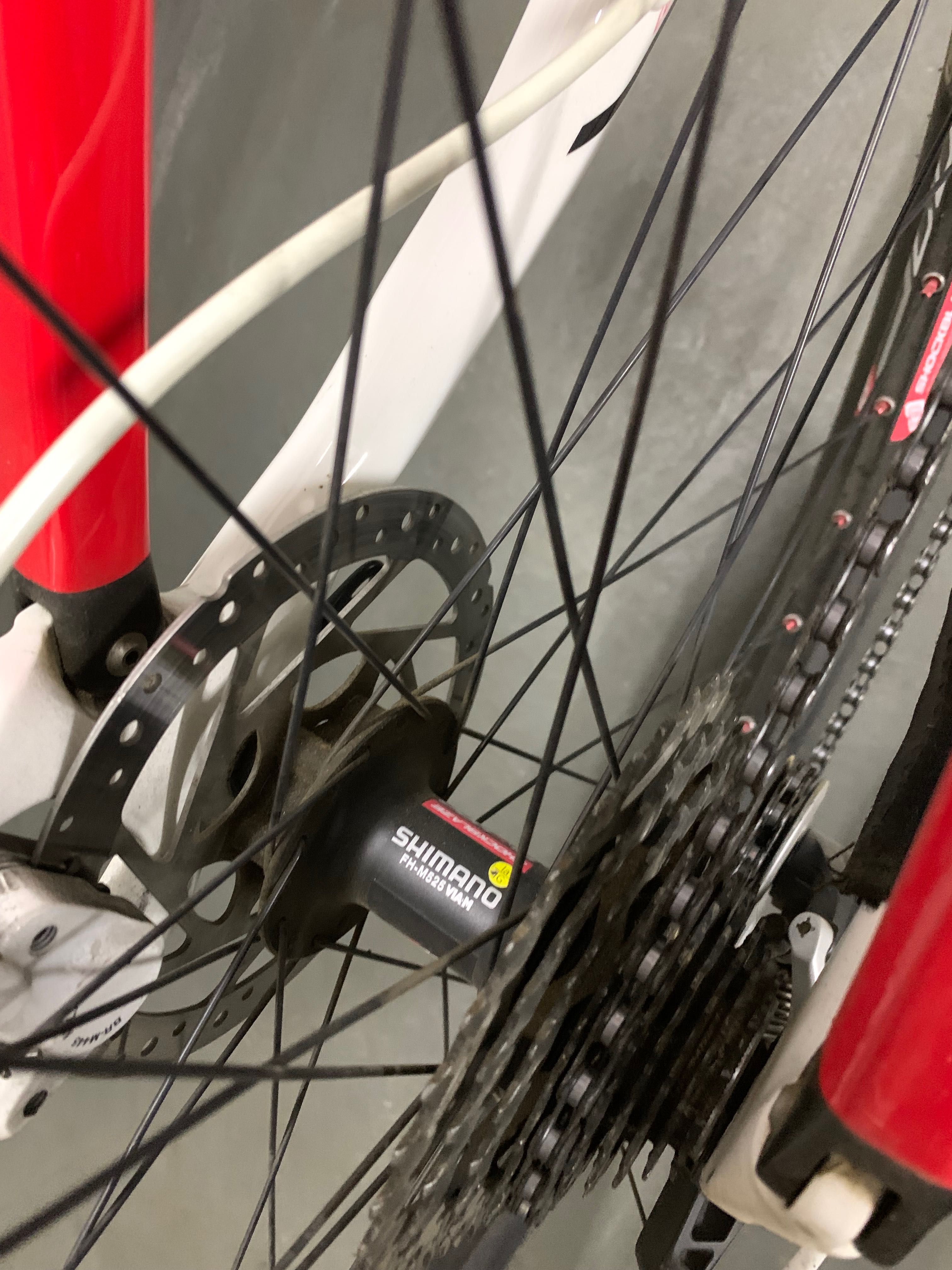 Shockblaze Carbon Evo Race