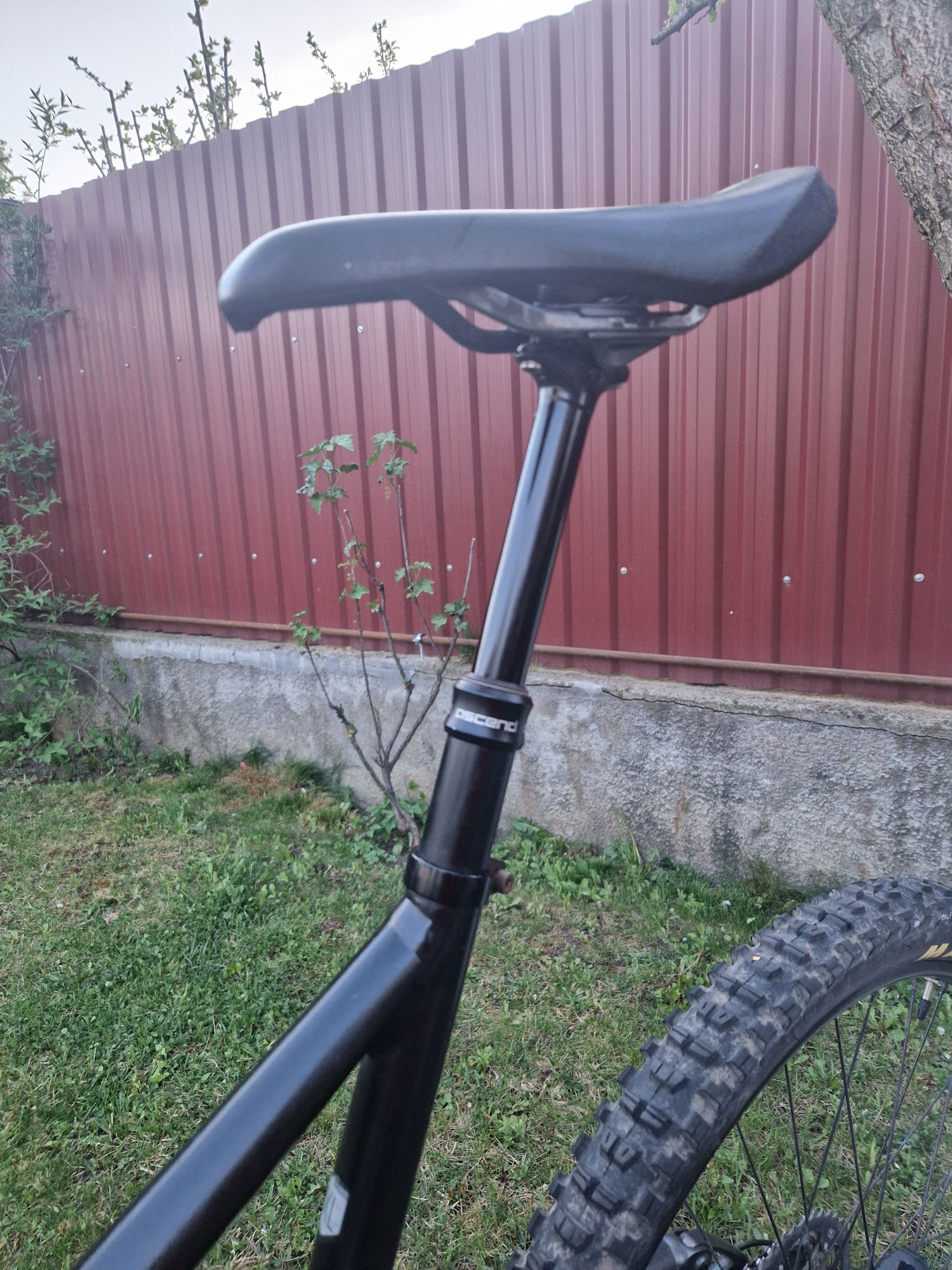 Cannondale trigger 4