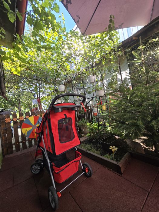 Cărucior animăluțe companie