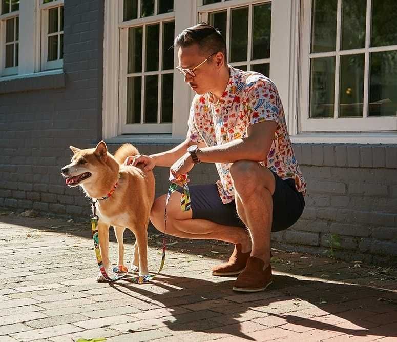 NOU! Zgarda + lesa caine Wolfgang Man & Beast SUA