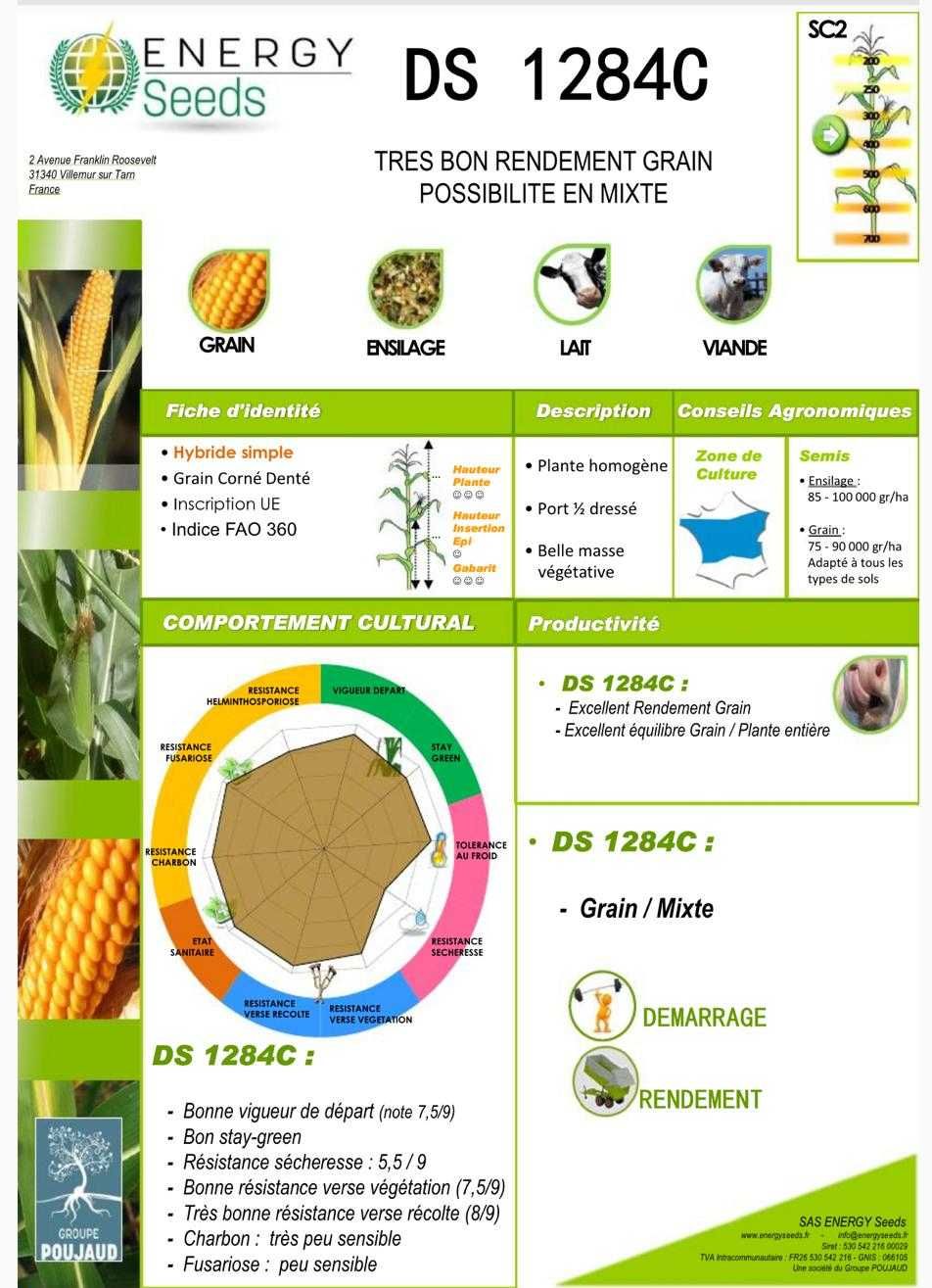 Porumb sămânță import Franţa BIO