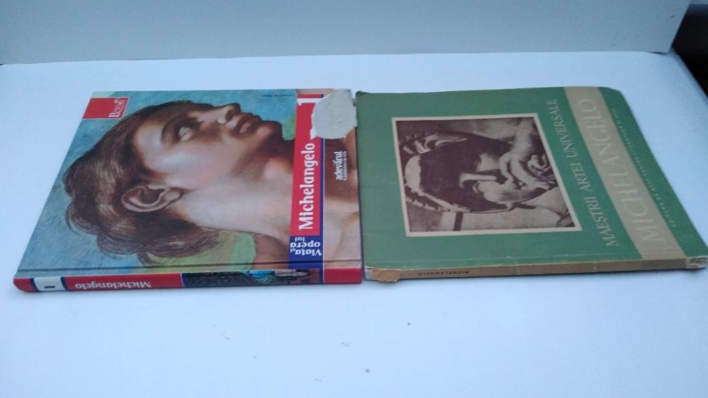 Michelangelo - 2 vol. - Maestrii artei universale - Viata si opera lui