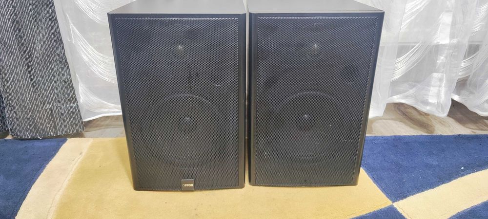 Boxe de Raft Infinity Reference 10 Boxe Audio de Camera Difuzoare