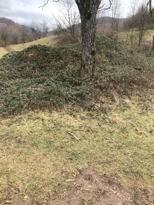 Teren intravilan localitatea Chiscau (Pestera Ursilor)jud Bihor