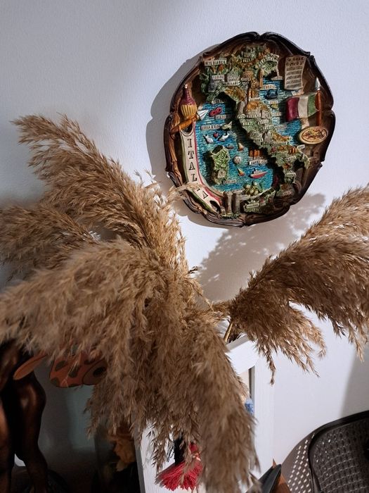 Flori uscate pampas