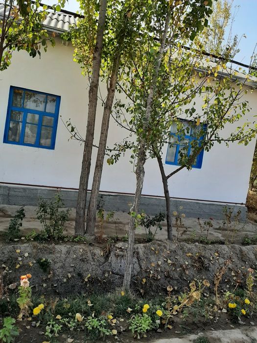 Terak sotiladi narxi kelishiladi