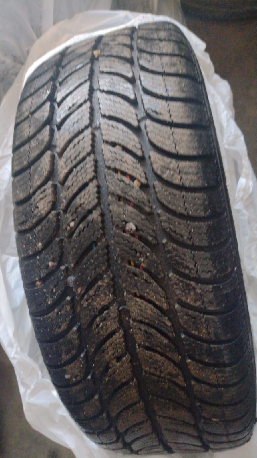 Anvelope iarna Skoda Octavia 3 .205/55R16