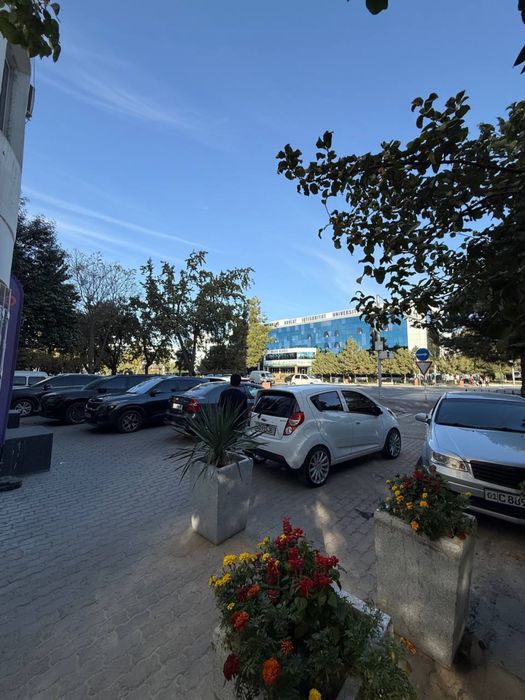 Ц5.  Нижилой.  В доль дороги