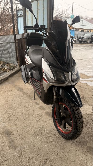 Самурай сонлинк в продаже