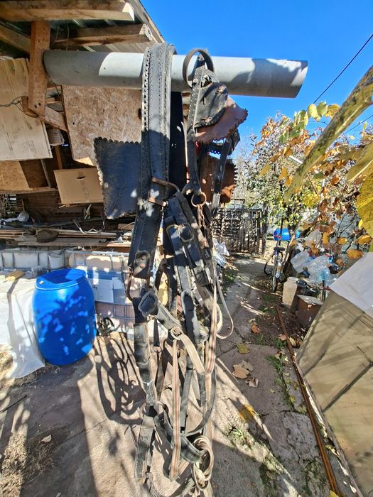 Vând ham pentru cal