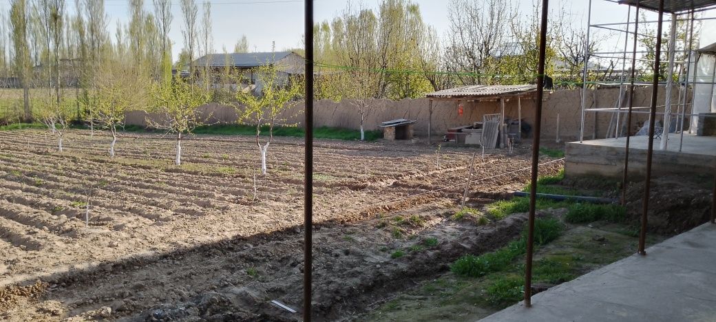 Катта ховли 20 сотих...