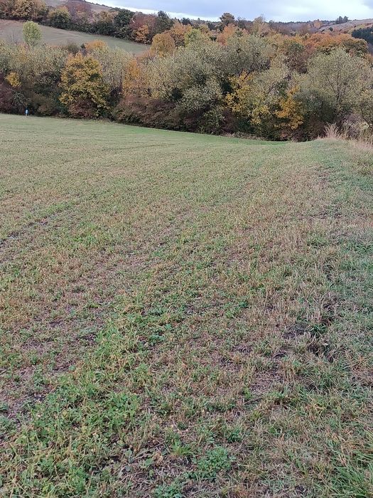 Vând teren in Popești deal extravilan parcele, la limită cu intravilan