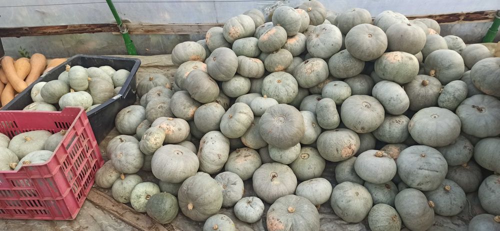 Тивки за консумация