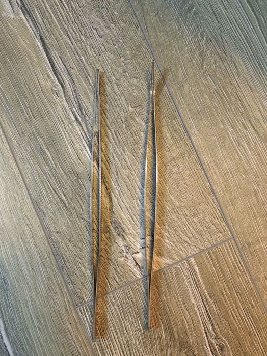 Penseta acvariu / Pensete acvariu pla nte