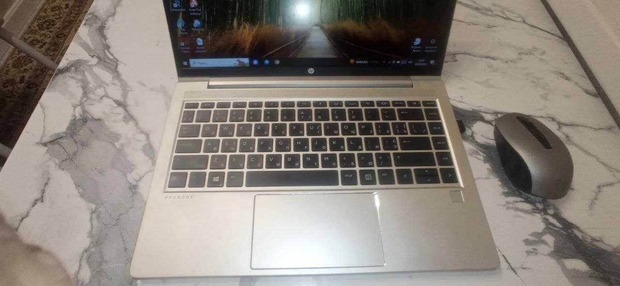 Ноутбук HP Probook
