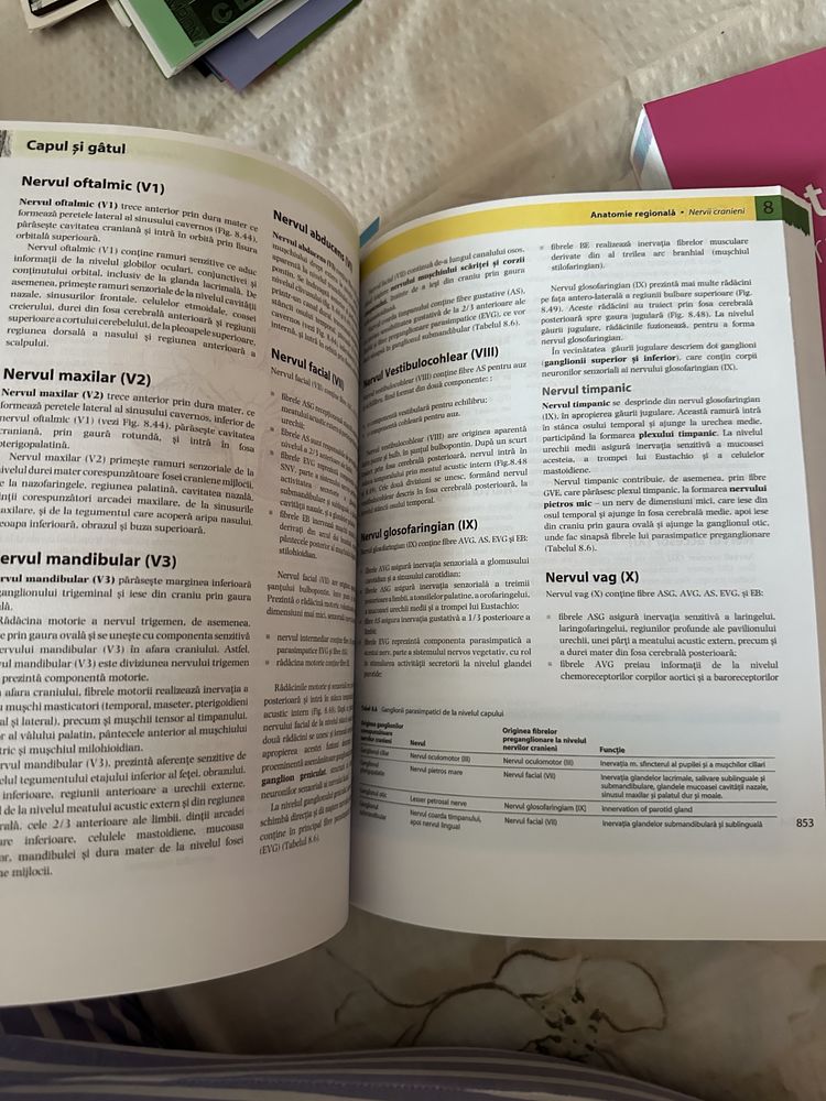 Anatomia lui Gray pentru studenti