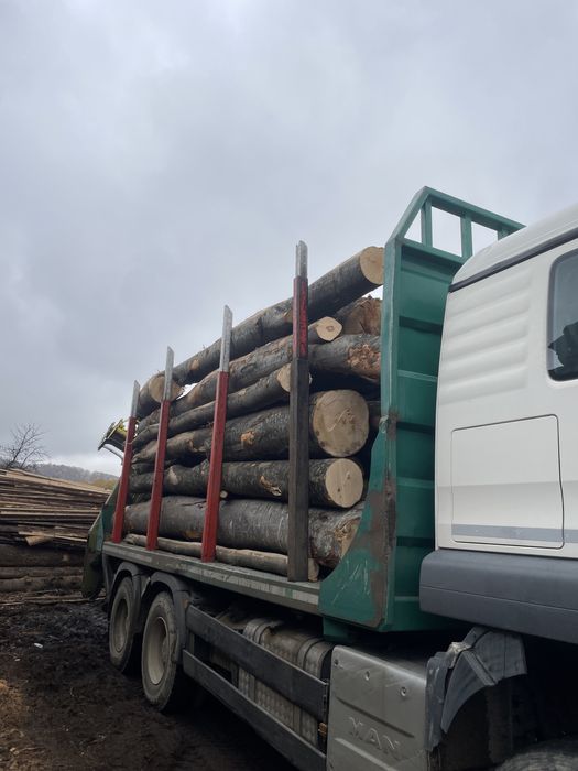 Lemn foc fag, cherestea rasinoase