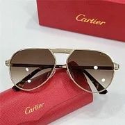 Мъжки слънчеви очила Картие