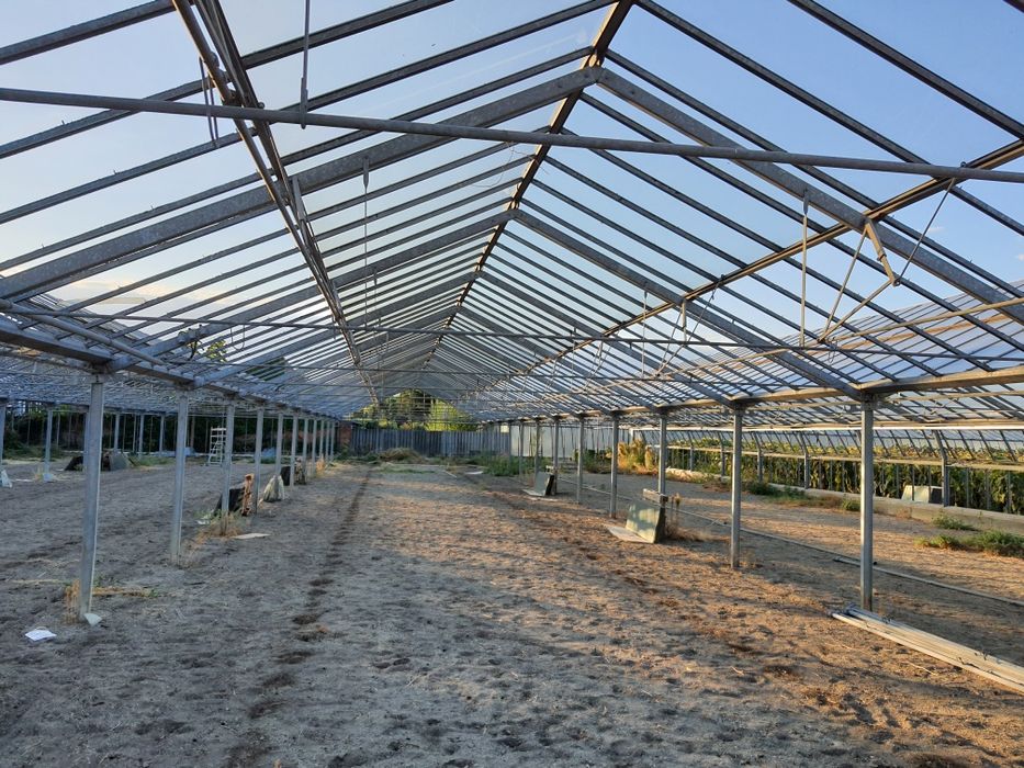 Seră de vânzare Tomnatic