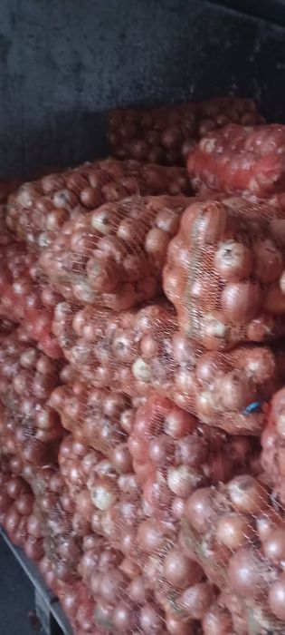 Ceapa samanta legend