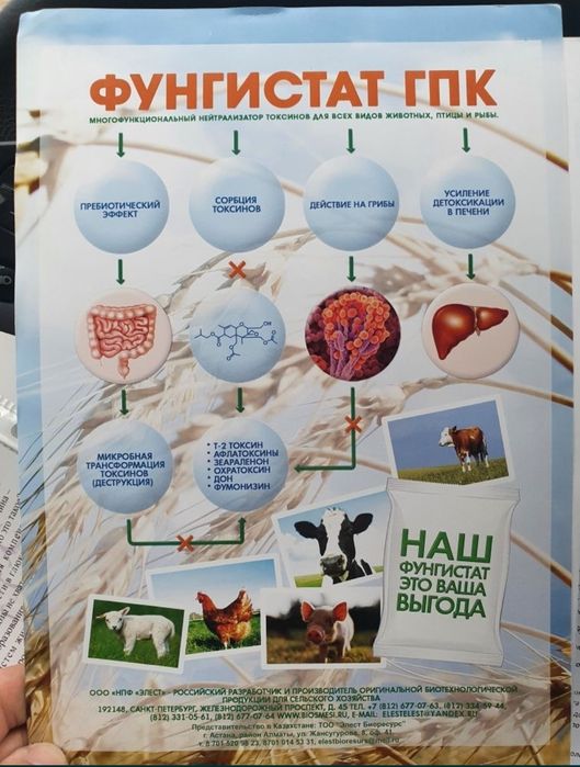 Адсорбент Фунгистат ГПК  Нейтрализатор токсинов.