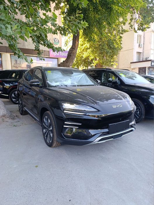 Byd Chenpion 2025 smart