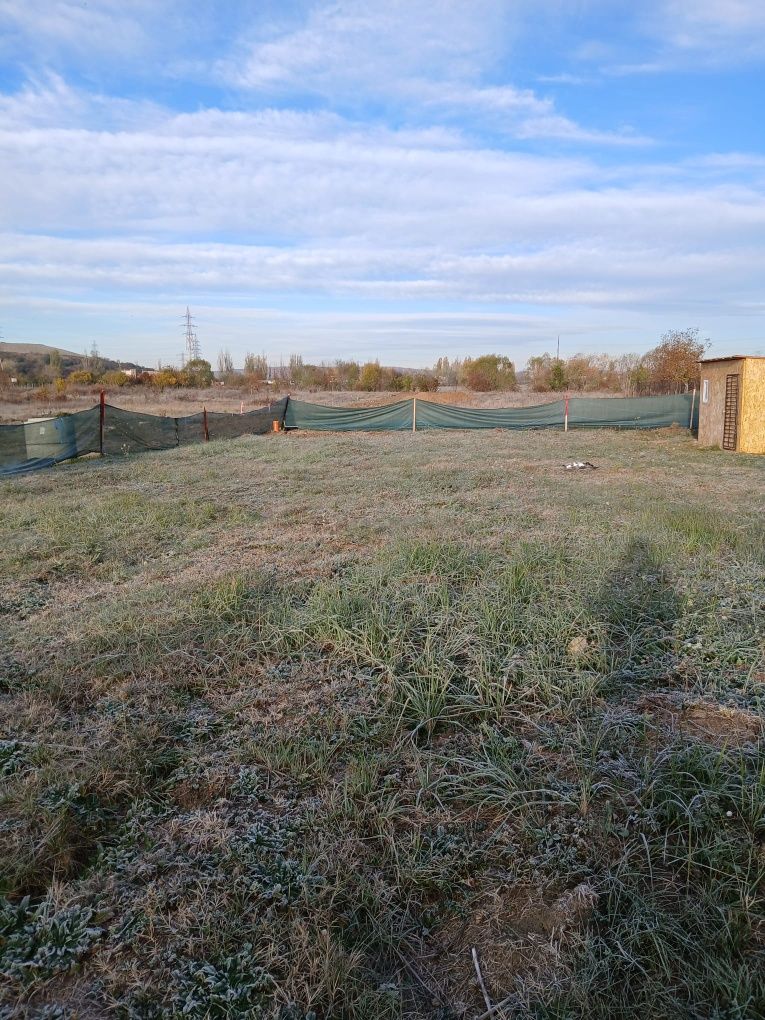Teren de vânzare Viforata 730 m²