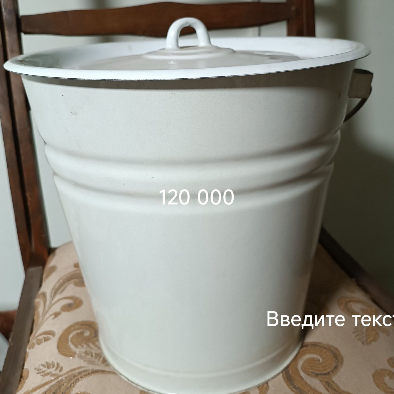 Сирли челак ва тогоралар