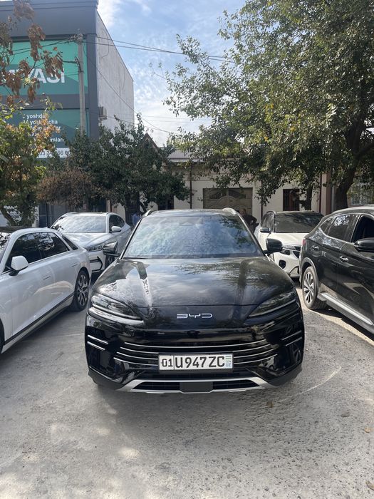 BYD Chimpion Hibrit 150 Tali