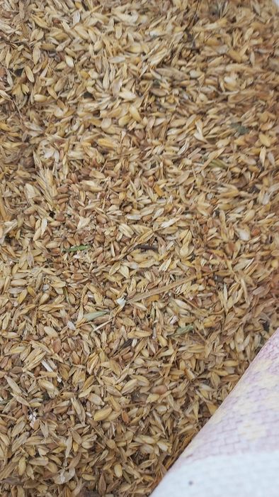 Продам зерноотходы