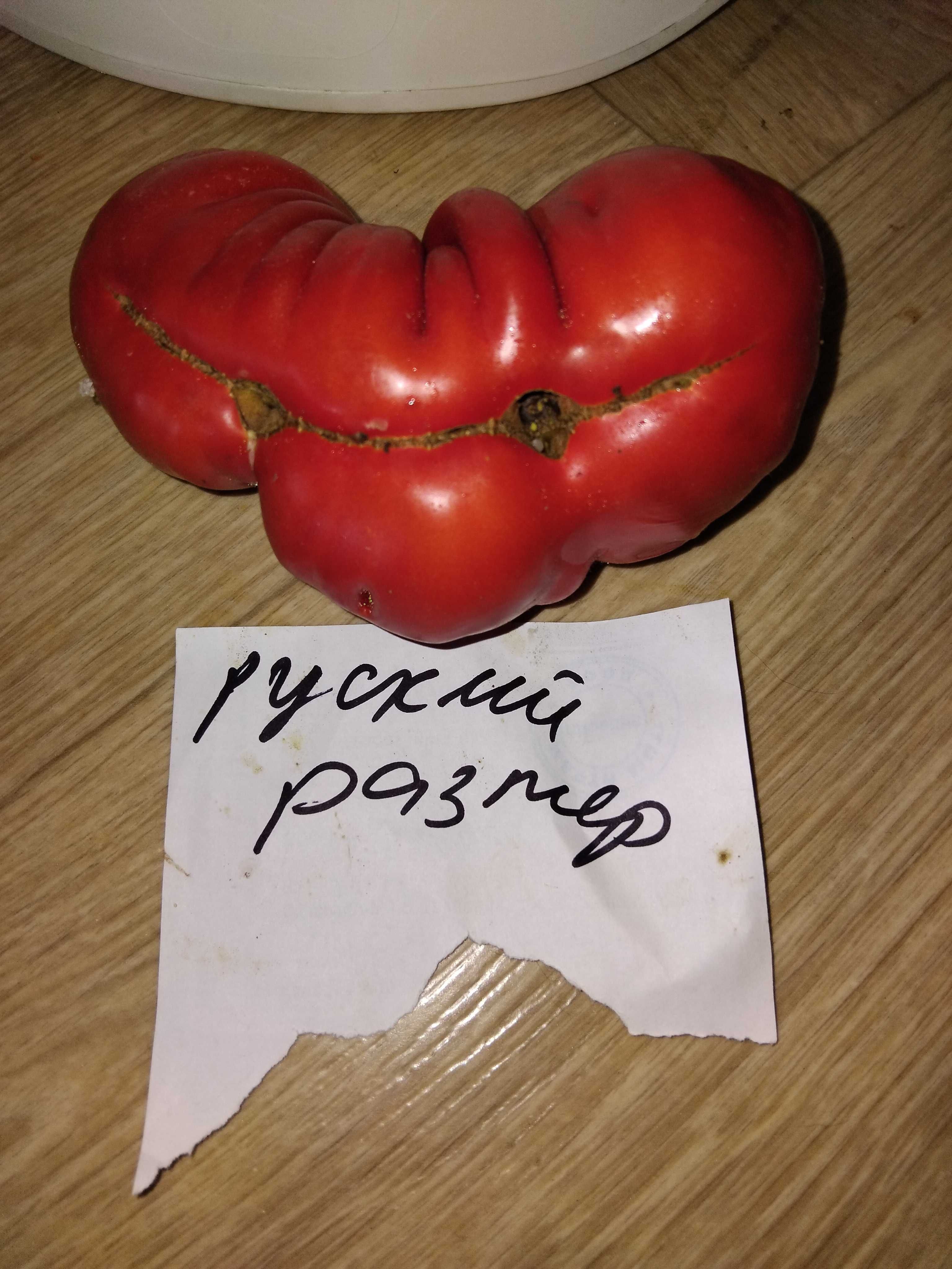 Продавам семена за домати