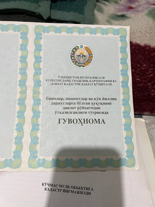 Кадастр бор Янгийул Коратепа тошкендан келганда арча ку́чага етмасдан