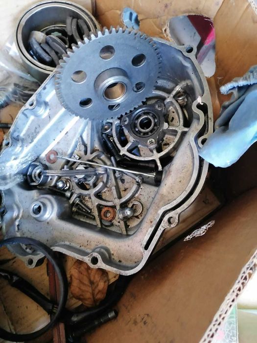 Motor Bashan 300