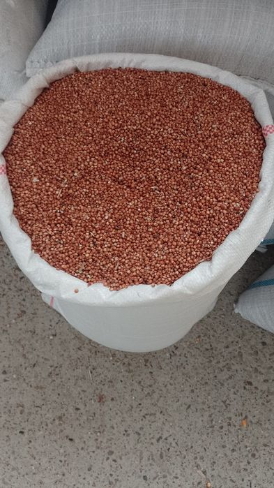 Sorg Roșu și Amestec de cereale 7 semințe