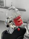 Manechin dentar NOU phantom head cu maxilar articulat