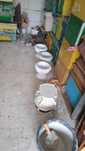 Ghivece din beton