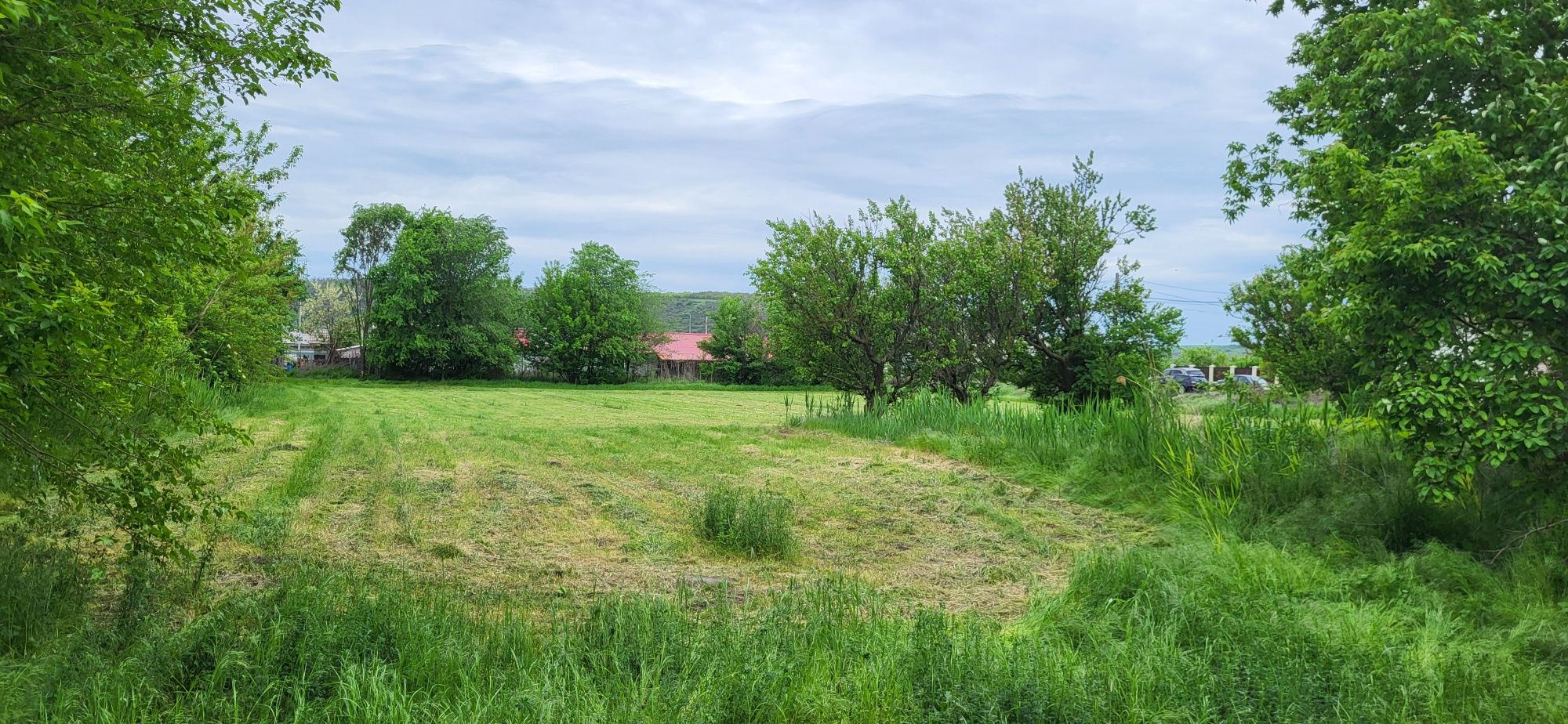 Teren Intravilan, 5000 mp Faclia, Iesire Principala si Str Taberei