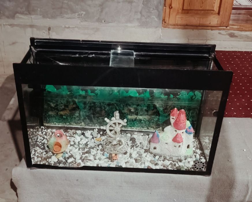 Akvarium akvarium