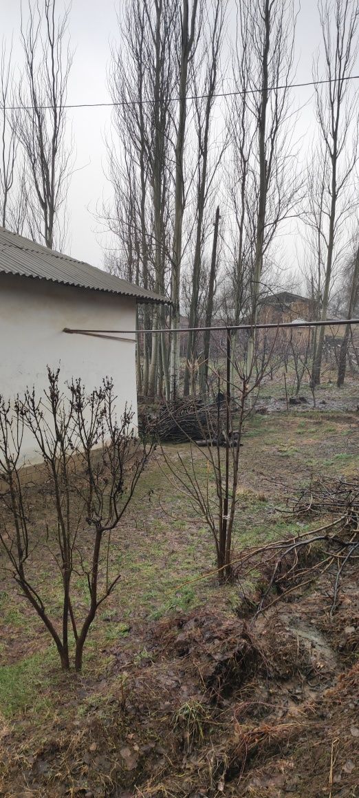 Oqtosh hondoyliqda dacha qurish uchun yer sotiladi