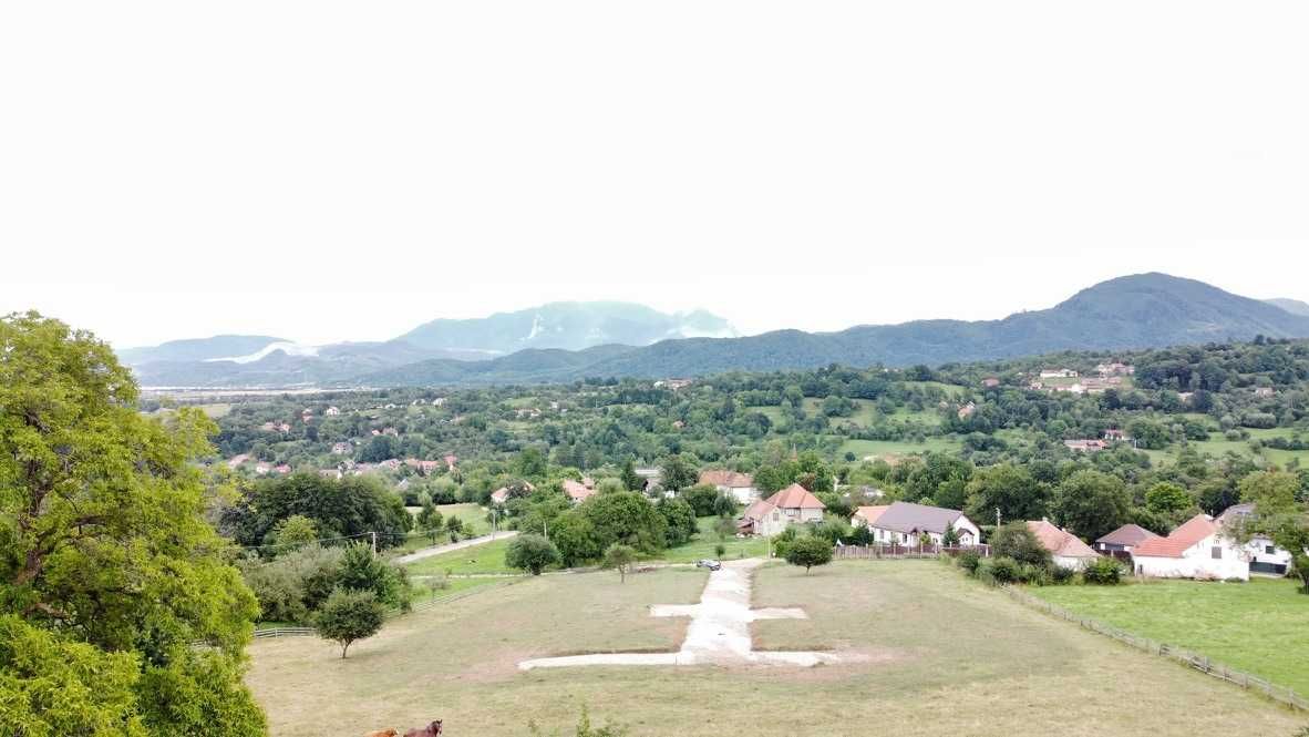 Teren deosebit în Sohodol – toate avantajele într-un singur loc