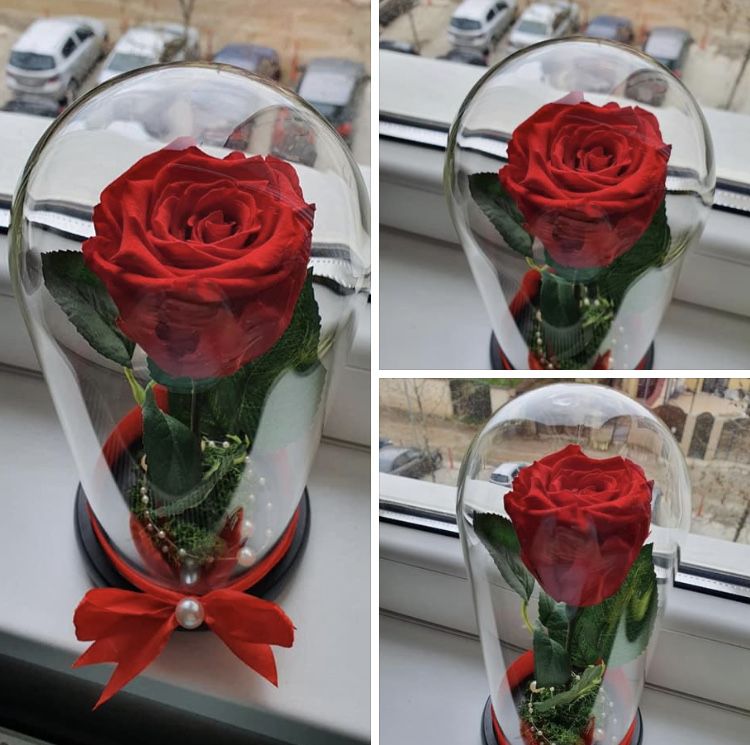 Cupola cu trandafir criogenat