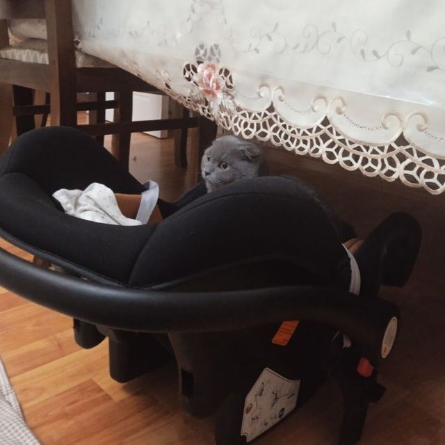 Продам кояску, велосипед, автокресло