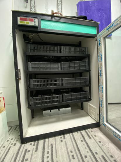 Срочно Продам ! Инкубатор  для яйц, вместимость 600 штук