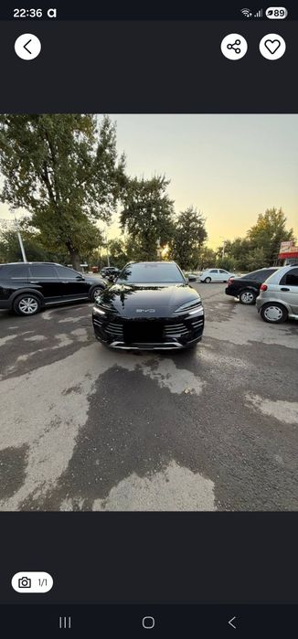 ‼️BYD chempion restailg Srochna