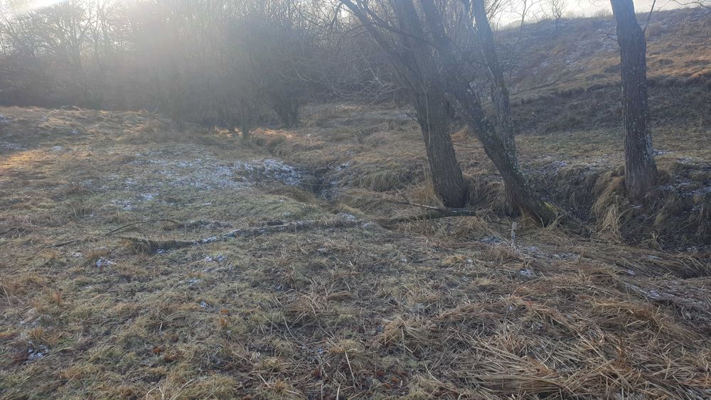 De vanzare teren extravilan in comuna Ciucea ,jud.Cluj