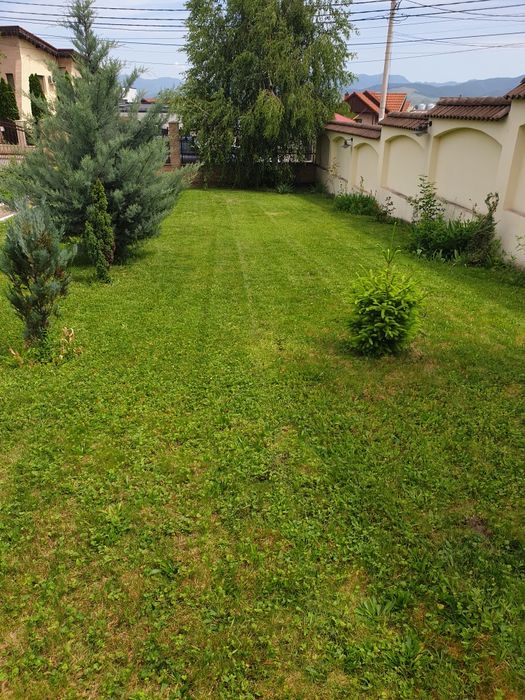 Tuns iarba, tocat crengi, toaletat pomi și gard viu