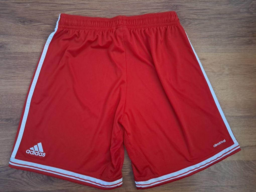 Къси панталони Bayern Munchen размер L Adidas